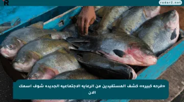«فرحة كبيرة» كشف المستفيدين من الرعاية الاجتماعية الجديدة شوف اسمك الآن